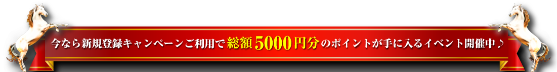 総額5000円分のポイントプレゼント