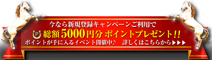 総額5000円分のポイントプレゼント